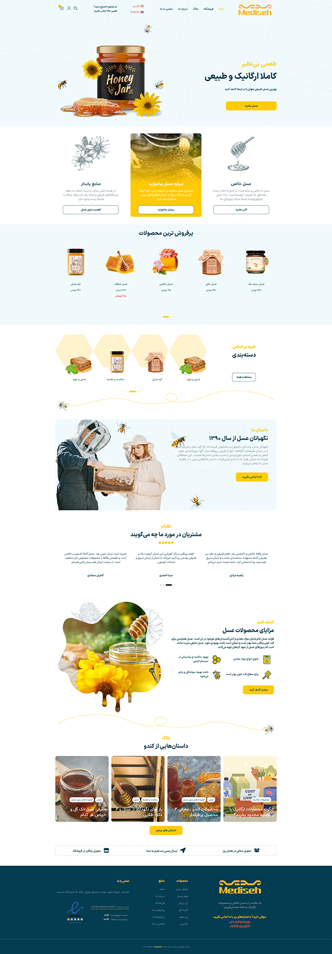 نمای وب‌سایت پروژه مدیسه (پارسیس)